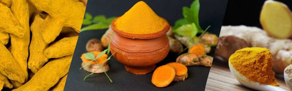 Turmeric Powder