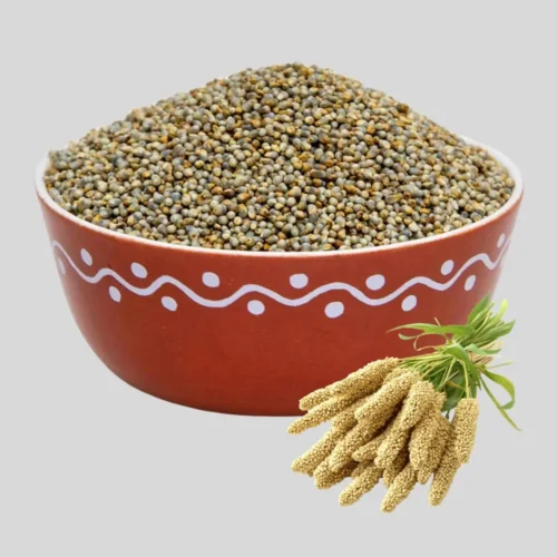 Pearl Millet Seed